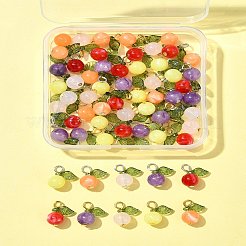 60 pièce de 10 styles de breloques en acrylique&nbsp;PALLOY-FS00022