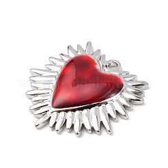 Pendentifs en acier inoxydable 304&nbsp;STAS-D129-10B-P
