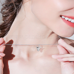 20 pièces pendentifs en alliage de style tibétain&nbsp;FIND-LP0004-26