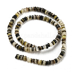 Natur schwarz Lippe Shell Perlen Stränge&nbsp;BSHE-Z005-06