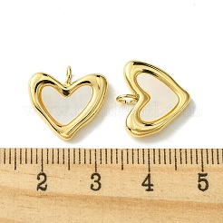 Ionenplattierung (IP) 304 Edelstahl Pavé Muschel Herz Charms&nbsp;FIND-Z028-20G