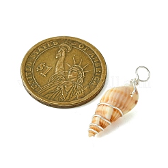 Natürliche Spirale Shell Anhänger&nbsp;PALLOY-JF02793-02