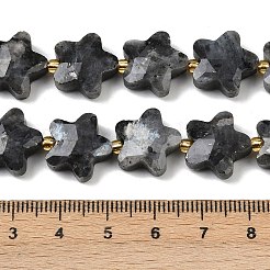 Natürliche Larvikit-Perlenstränge&nbsp;G-P573-C11-01
