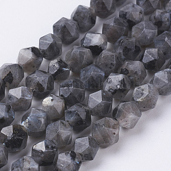 Natürliche schwarze Larvikit-Perlenstränge, facettiert, Runde, 6x5 mm, Bohrung: 0.8 mm, ca. 68 Stk. / Strang, 15.3 Zoll (39 cm)