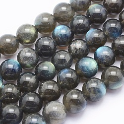 Natural Labradorite Beads Strands, Round, 9.5~10mm, Hole: 1mm, about 44pcs/strand, 15.5 inch(39.5cm)