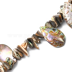 Naturelles Paua brins de perles, puce et larme, 7~15.5x11~26x2.5~4.5mm, Trou: 0.5mm, 15.55 pouce (39.5 cm)