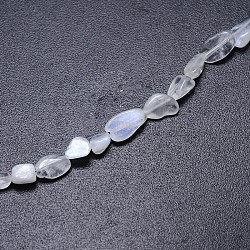 Natürliche weiße Regenbogen-Mondstein-Nuggets-Perlenstränge, getrommelt Stein, 6~12x5~7 mm, Bohrung: 1 mm, etwa 15.7 Zoll