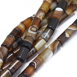 Natural Banded Agate/Striped Agate Beads Strands, Dyed & Heated, Column, 13.5~14x10~10.5mm, Hole: 0.6mm, about 28 pcs/Strand, 15.35 inch(39 cm)