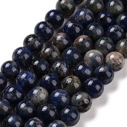 Chapelets de perles en sodalite naturelle, ronde, 10mm, Trou: 1~1.6mm, Environ 39 pcs/chapelet, 15.24~15.51'' (38.7~39.4 cm)