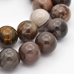 Abalorios redondos de madera petrificada naturales hebras, 12mm, agujero: 1 mm, aproximamente 34 pcs / cadena, 15.7 pulgada