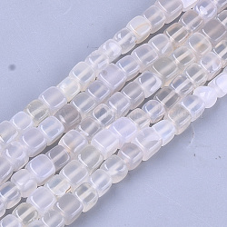 Filo di perline di agata naturale, tinto, cubo, fumo bianco, 7~8x7~8x7~8mm, Foro: 1 mm, circa 50pcs/filo, 14.1 pollice