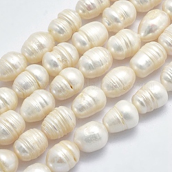 Brins de perles de culture d'eau douce naturelles, ovale, beige, 12~18x9~10mm, Trou: 0.8mm, Environ 28 pcs/chapelet, 14.17 pouce