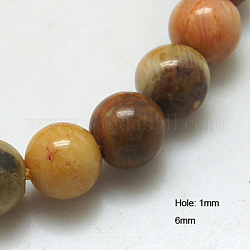 Fossiles naturelle perles de corail brins, teinte, ronde, 6mm, Trou: 1mm