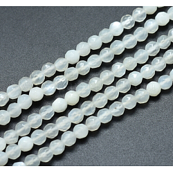 Naturelles perles pierre de lune blanc brins, facette, ronde, 4mm, Trou: 0.8mm, Environ 92 pcs/chapelet, 15.3 pouce