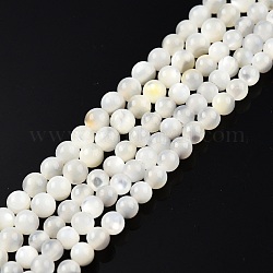 Brins de perles de coquillage blanc naturel, ronde, 3~3.5mm, Trou: 0.8mm, Environ 123~124 pcs/chapelet, 14.76 pouce ~ 14.88 pouces (37.5~37.8 cm)