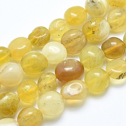 Natürliche gelb Opalkorne Stränge, getrommelt Stein, Nuggets, 6~8 mm, Bohrung: 0.8 mm, ca. 45~47 Stk. / Strang, 15.7 Zoll (40 cm)