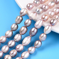 Natural Cultured Freshwater Pearl Beads Strands, Rice, Thistle, 10~14x8~8.5mm, Hole: 0.7~0.8mm, about 34~35pcs/strand, 13.78 inch(35cm)