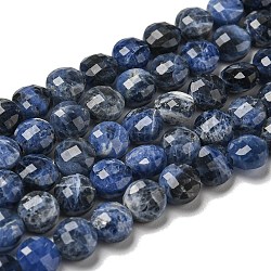 Chapelets de perles en sodalite naturelle, facette, plat rond, 5~6x4~4.5mm, Trou: 0.9mm, Environ 65 pcs/chapelet, 15.12''~15.20'' (38.4~38.6 cm)
