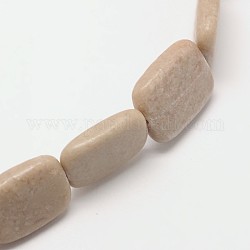 Natural Gemstone Rectangle Bead Strand, 18~20x12~14x5mm, Hole: 1mm, about 22pcs/strand, 14.9inch