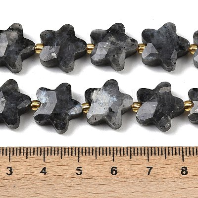 Natürliche Larvikit-Perlenstränge&nbsp;G-P573-C11-01-1