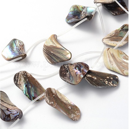 Natural Paua Shell Beads Strands SSHEL-J047-11-1