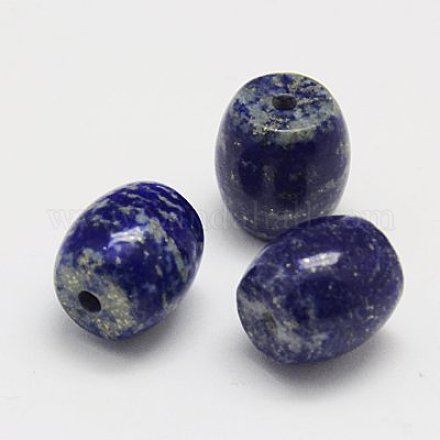 Natural Lapis Lazuli Beads G-G430-06-1