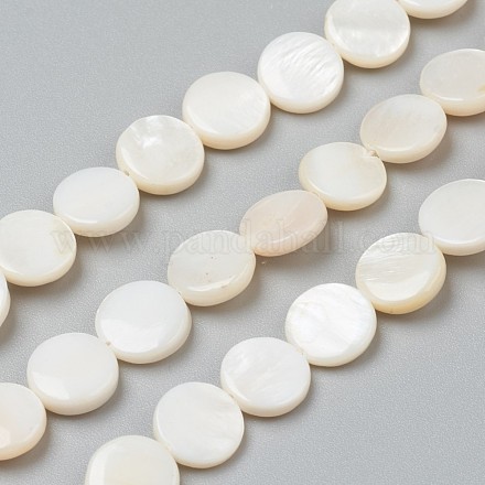 Perles de coquillages naturels d'eau douce BSHE-I011-01D-02-1