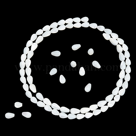 Nbeads 47 pcs perles de coquille de trochus naturelles BSHE-NB0001-26-1