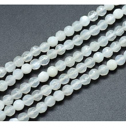 Naturelles perles pierre de lune blanc brins G-Q582-1-1