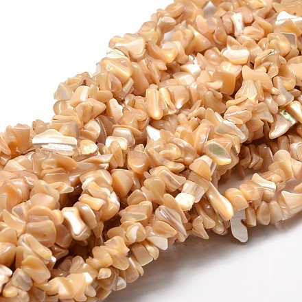 Brins de perles de coquillage naturel G-E271-62-1