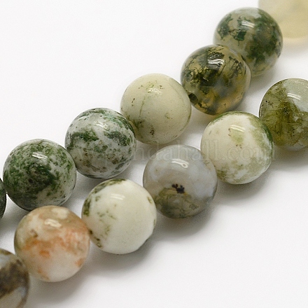 Chapelets de perles en agate d'arbre naturelle G-K194-10mm-02-1