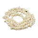 Brins de perles de coquillages naturels de troca SSHEL-H072-04-2
