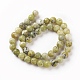 Brins de perles turquoise jaune naturel (jaspe) G-Q462-8mm-22-2