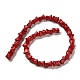 Synthetic Howlite Beads Strands TURQ-F018-10-3