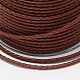 Eco-Friendly Braided Leather Cord WL-E008-3mm-24-2