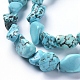 Natural Magnesite Beads Strands TURQ-G152-B01-3