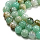 Natural Chrysoprase Beads Strands G-P503-4MM-03-4