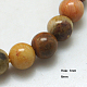 Natural Fossil Coral Beads Strands G-G212-6mm-30-1