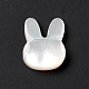 Perles de coquillage blanc naturel BSHE-C003-01C-3