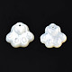 Natural White Shell Charms SSHEL-S258-98A-2
