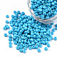 Baking Paint Glass Seed Beads SEED-S001-K10-3