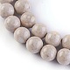 Perles en fossile naturelle G-E508-01-8mm-2