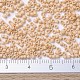 MIYUKI Delica Beads SEED-J020-DB0389-4