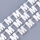 Natural Freshwater Shell Beads SHEL-T012-59M-1