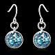 Zinc Alloy Austrian Crystal Dangle Earrings EJEW-BB28919-7