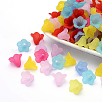Frosted Acrylic Beads, Flower, Mixed Color, 10x13.5mm, Hole: 1.8mm, about 1600pcs/500g