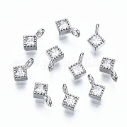 925 Sterling Silver Cubic Zirconia Charms STER-ZX003-02P-NF