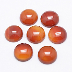 Cabochons de cornaline naturelle&nbsp;X-G-P215-15-12mm