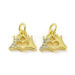Messing micro pave klar zirkonia charme&nbsp;KK-E068-VF074