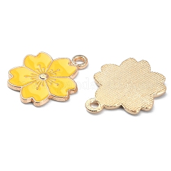 20pcs 10 pendentifs en alliage de couleurs&nbsp;ENAM-YW0002-12